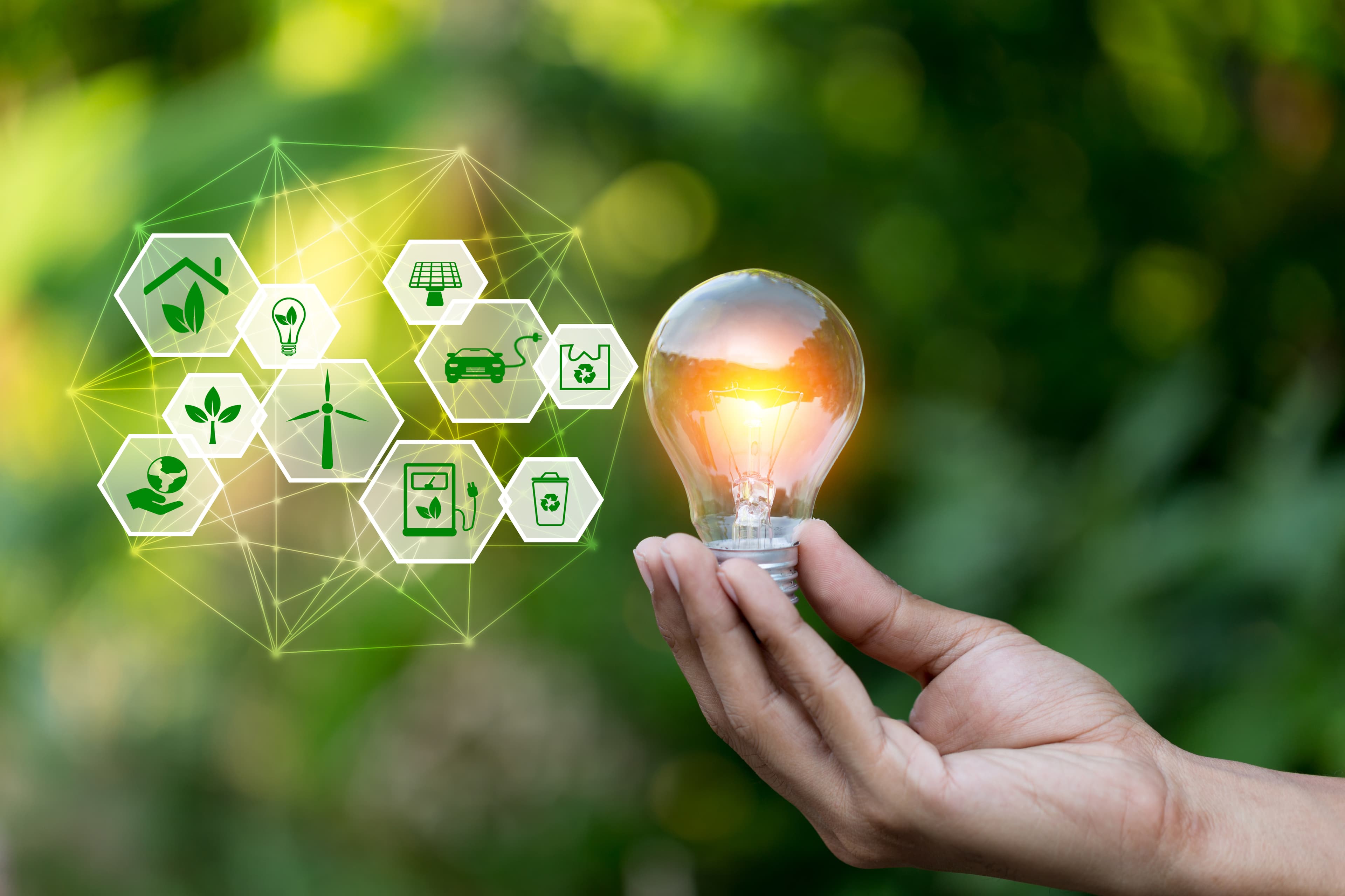 8MW Solar with 7.5 MWh BESS - Dhanushadham